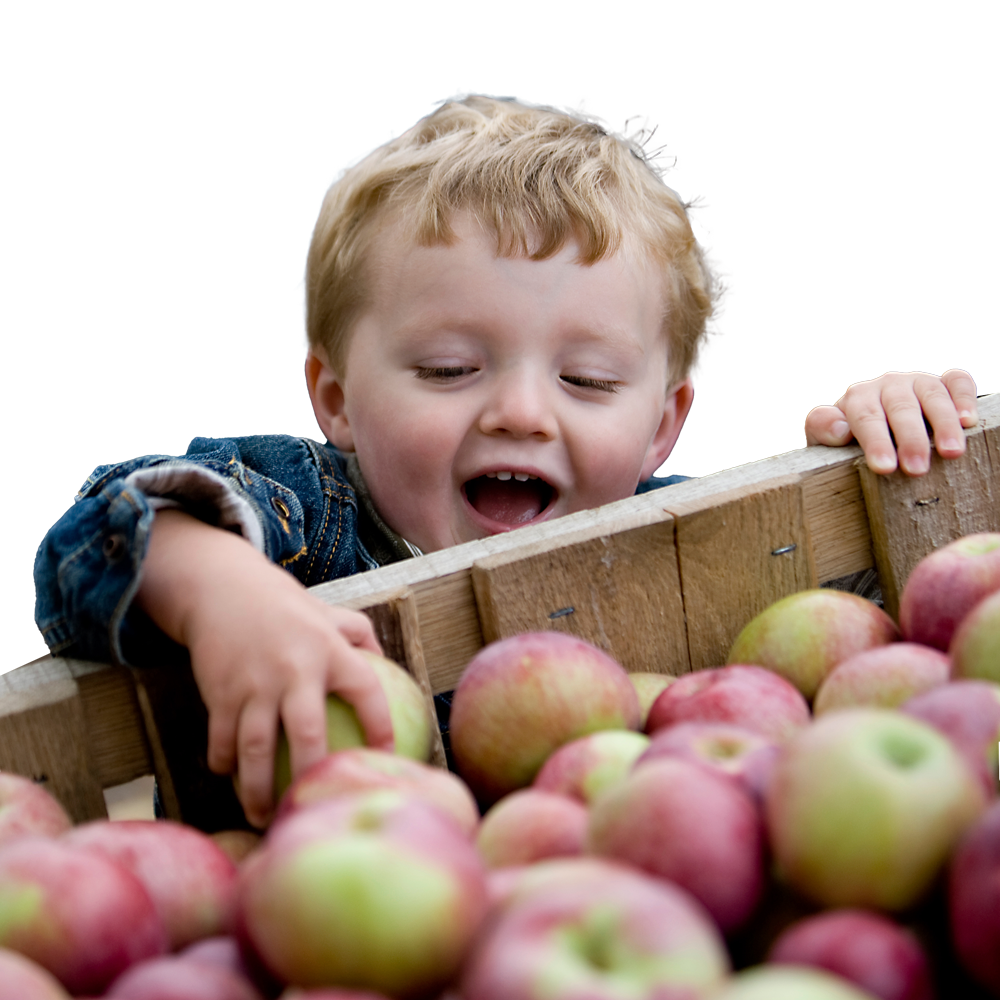 Bubapfel istock 000006865815large