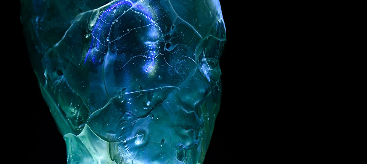 Julia schulz 1200x538